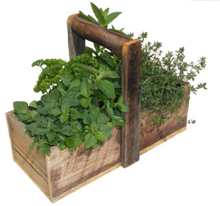 Rustic Basket with seasonal herbs