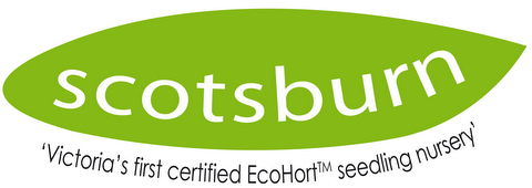 Scotsburn Nurseries. Victoria's first EcoHort certified seedling nursery